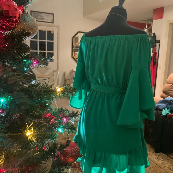 ee:some Solid Green Chiffon midiDress - Picture 6 of 9